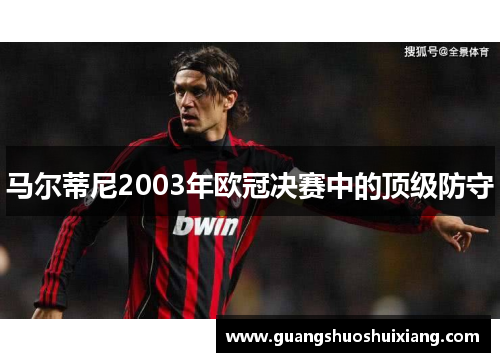 马尔蒂尼2003年欧冠决赛中的顶级防守