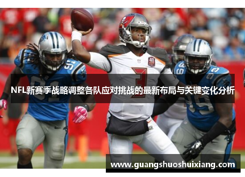 NFL新赛季战略调整各队应对挑战的最新布局与关键变化分析