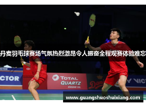 丹麦羽毛球赛场气氛热烈激昂令人振奋全程观赛体验难忘