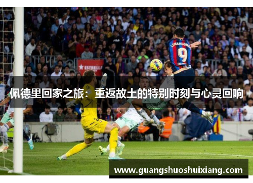 佩德里回家之旅：重返故土的特别时刻与心灵回响