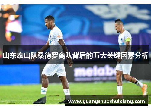 山东泰山队桑德罗离队背后的五大关键因素分析