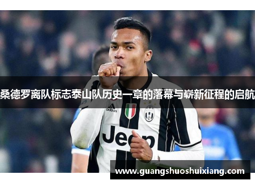 桑德罗离队标志泰山队历史一章的落幕与崭新征程的启航