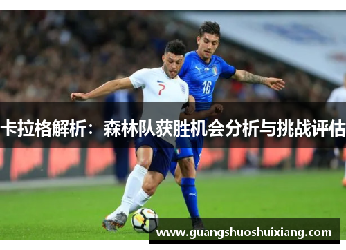 卡拉格解析:森林队获胜机会分析与挑战评估 卡拉格解析:森林队获胜机会分析与挑战评估