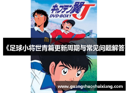 《足球小将世青篇更新周期与常见问题解答》
