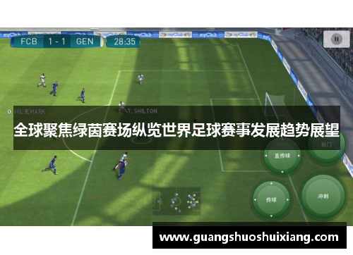 全球聚焦绿茵赛场纵览世界足球赛事发展趋势展望