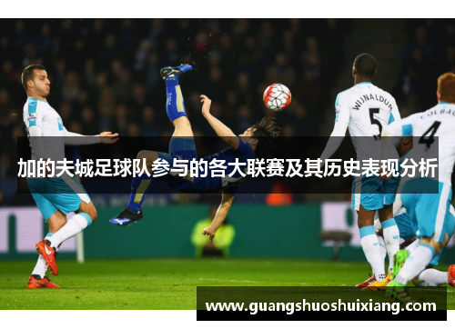 加的夫城足球队参与的各大联赛及其历史表现分析