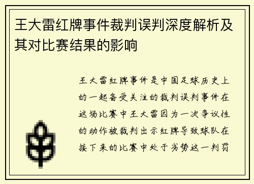 王大雷红牌事件裁判误判深度解析及其对比赛结果的影响